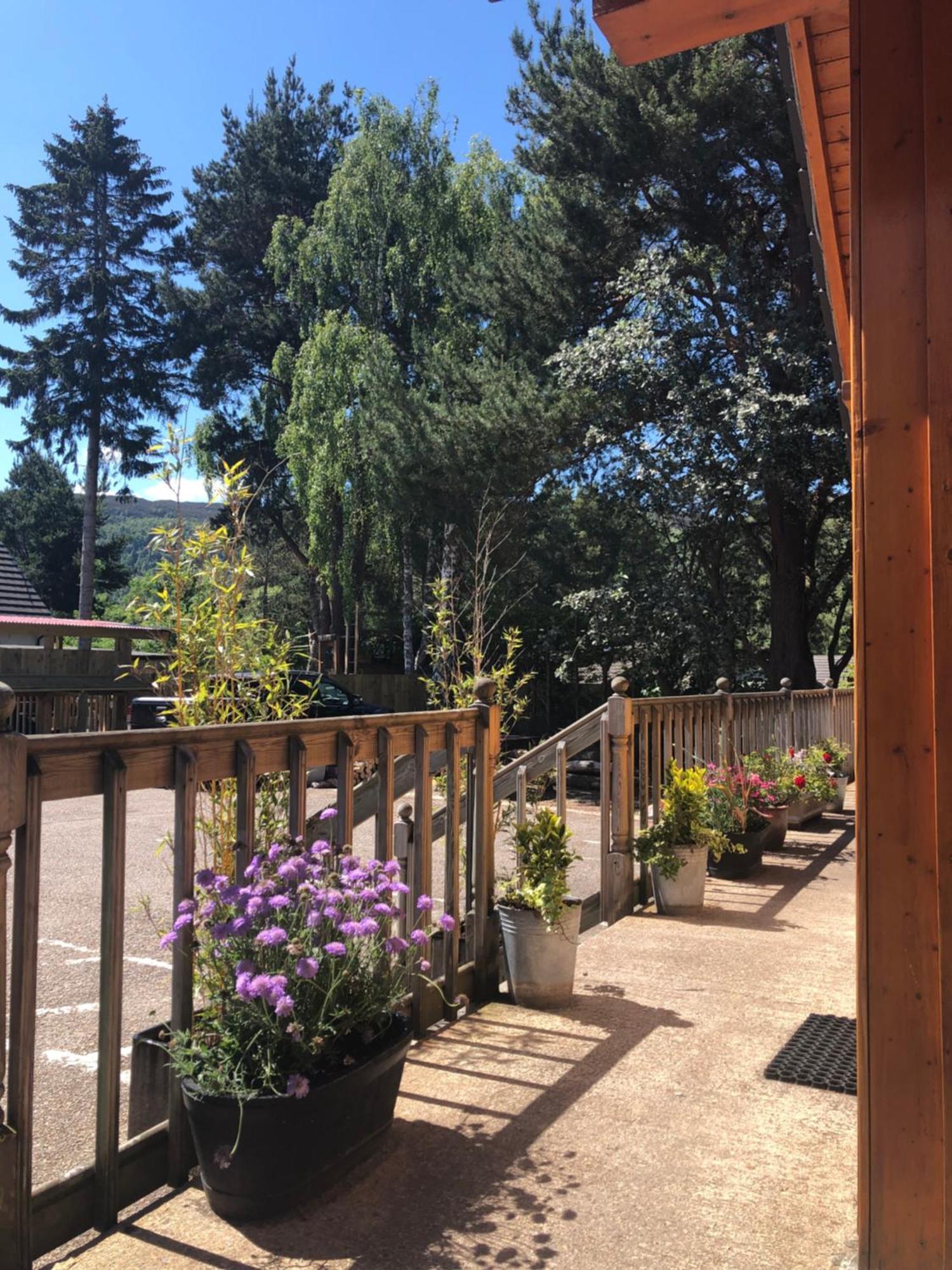 Ravenscraig Guest House Aviemore Ngoại thất bức ảnh