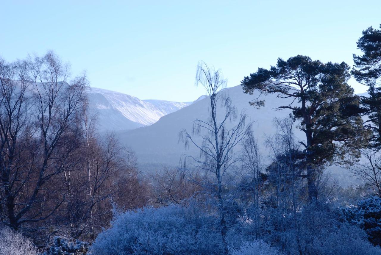 Ravenscraig Guest House Aviemore Ngoại thất bức ảnh